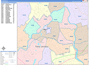 Paterson  Wall Map Color Cast Style