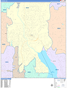 Redmond Wall Map Color Cast Style