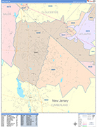 Vineland  Wall Map Color Cast Style