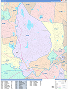 Wayne  Wall Map Color Cast Style