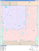 Woodbury  Wall Map Color Cast Style