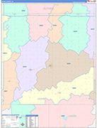 Adair County Wall Map Color Cast Style