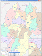Albemarle County Wall Map Color Cast Style
