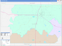 Alcorn County Wall Map Color Cast Style