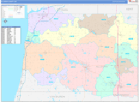 Allegan Wall Map Color Cast Style