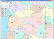 Allegan County Wall Map Color Cast Style