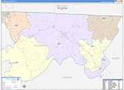 Alleghany County Wall Map Color Cast Style