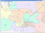 Allen County Wall Map Color Cast Style