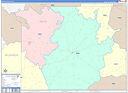 Amite County Wall Map Color Cast Style