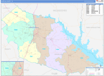 Angelina County Wall Map Color Cast Style