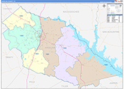 Angelina County Wall Map Color Cast Style
