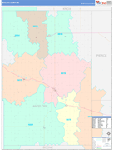 Antelope County Wall Map Color Cast Style