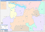 Appanoose County Wall Map Color Cast Style