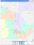 Atascosa County Wall Map Color Cast Style