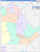 Atascosa County Wall Map Color Cast Style