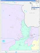 Baker County Wall Map Color Cast Style