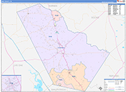 Bee County Wall Map Color Cast Style