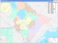 Berkeley County Wall Map Color Cast Style