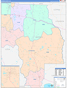 Berrien County Wall Map Color Cast Style