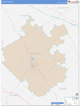 Bleckley County Wall Map Color Cast Style