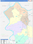 Boone County Wall Map Color Cast Style