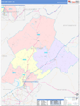 Botetourt County Wall Map Color Cast Style