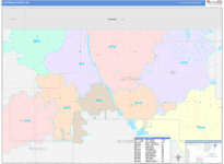 Bottineau Wall Map Color Cast Style