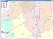 Branch County Wall Map Color Cast Style