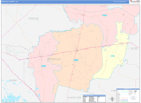 Brantley County Wall Map Color Cast Style