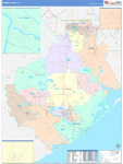 Brazoria County Wall Map Color Cast Style