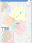 Brazos County Wall Map Color Cast Style