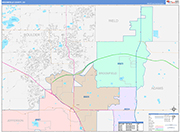 Broomfield Wall Map Color Cast Style