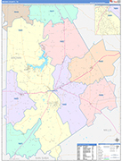 Brown County Wall Map Color Cast Style