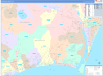 Brunswick County Wall Map Color Cast Style
