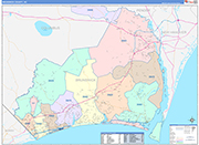 Brunswick County Wall Map Color Cast Style