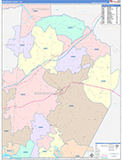 Brunswick County Wall Map Color Cast Style
