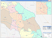 Bulloch County Wall Map Color Cast Style