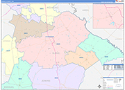 Burke County Wall Map Color Cast Style