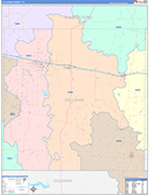 Callahan County Wall Map Color Cast Style