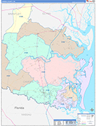 Camden County Wall Map Color Cast Style