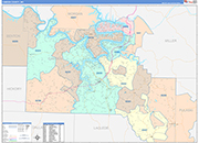 Camden County Wall Map Color Cast Style