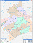 Carbon Wall Map Color Cast Style