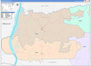 Carlisle County Wall Map Color Cast Style