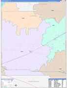 Carson County Wall Map Color Cast Style