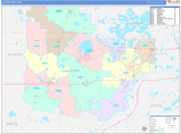 Carver County Wall Map Color Cast Style