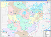 Carver County Wall Map Color Cast Style