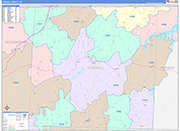 Caswell County Wall Map Color Cast Style