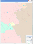 Catron County Wall Map Color Cast Style