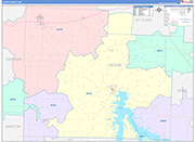 Cedar County Wall Map Color Cast Style