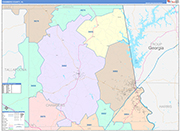 Chambers County Wall Map Color Cast Style